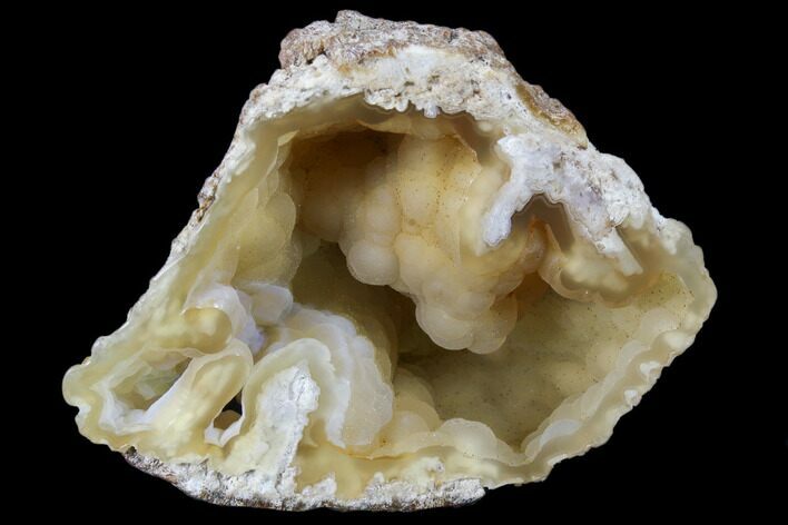 Agatized Fossil Coral Geode - Florida #82985